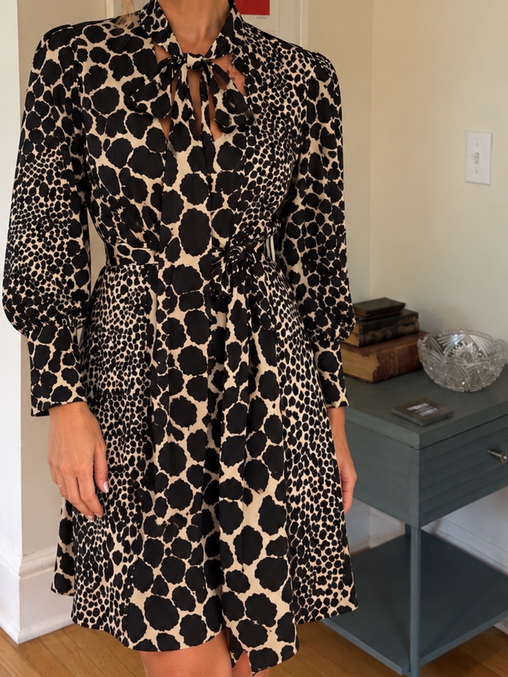 Topshop Giraffe Print Shirt Dress